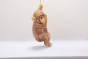  Monkey On Rope