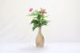 Khurja Pottery Flower Vase Pan Shape Cream Colour 10 Inches