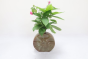 Khurja Pottery Flower Vase Ring Matki Shape Green and Brown Colour Size 9 Inches