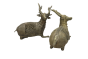  Dhokra Art Brass Siting Dear 5.5" (Set of 2)