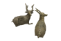  Dhokra Art Brass Siting Dear 5.5" (Set of 2)