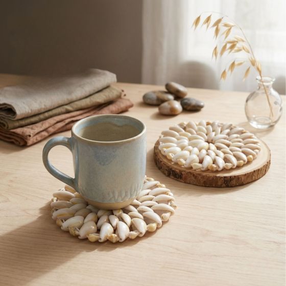 Handcrafted Seashell Coaster || Set of 2 || Saras Aajeevika