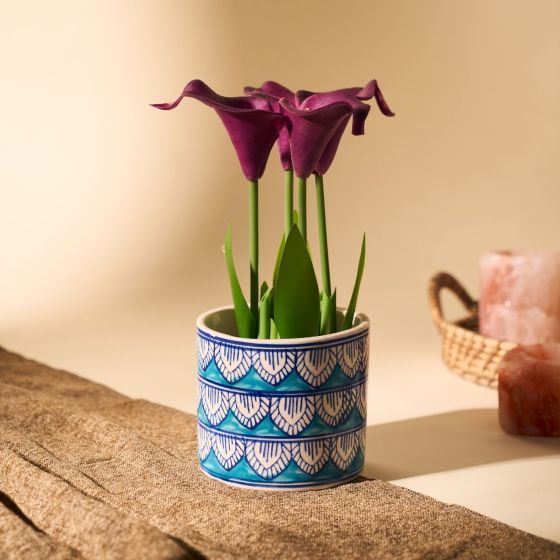 Khurja Pottery Indoor Pot Pipe Shape || Light Green Colour || Small Size 4 Inches || Saras Aajeevika