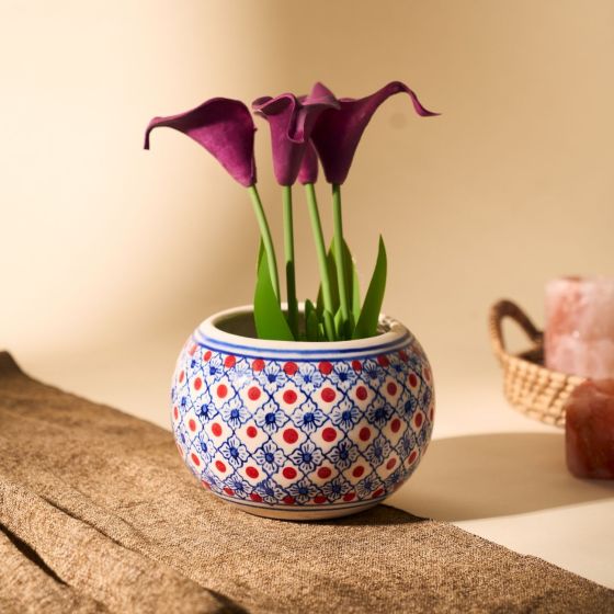 Khurja Pottery Indoor Pot Apple Shape || Red and Blue Colour || Big Size 5 Inchs || Saras Aajeevika