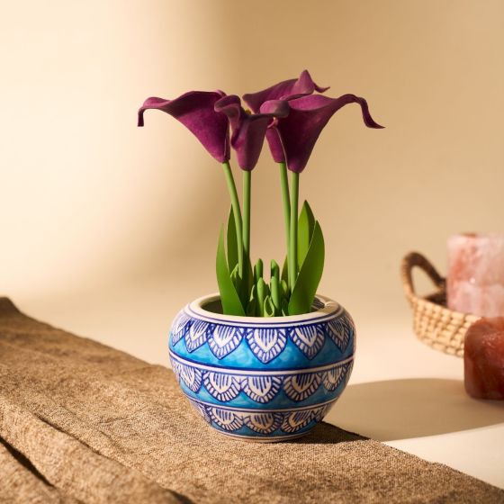 Khurja Pottery Indoor Pot Apple Shape Sky Blue Colour Medium 4 Inch || Saras Aajeevika
