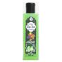 Palash Aloevera Shampoo 200Ml