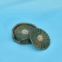 Handcrafted Pine Needle Coaster Green || Saras Aajeevika