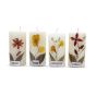 Cylindrical Candle White || 3 inch || Saras Aajeevika