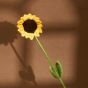 Handwoven Sunflower || Set of 2 || Saras Aajeevika