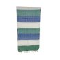 Assam Cotton Stole Blue & Green Stripes || Saras Aajeevika