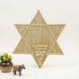 Bamboo Wall Hanging Star  || Saras Aajeevika