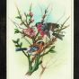 Miniature Painting Birds Design Silk With Frame 7*5" three birds