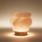 Handcrafted | Himalayan Rock Salt Lamp | SHG Product | Punjab | Rock Salt Lamp | Pot Lamp