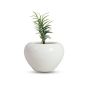 Khurja pottery Indoor Pot Apple Shape White Colour Medium Size 4 Inches