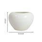 Khurja pottery Indoor Pot Apple Shape White Colour Medium Size 4 Inches