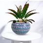 Khurja Pottery Outdoor Pot – Apple Shape, Light Green, Big Size (6 Inches)