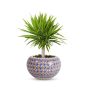 Khurja Pottery Outdoor Pot – Apple Shape, Red & Blue, Large Size (6 Inches)