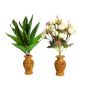 Wooden Jali Flower Pot 4" (Set of 2 ) || Saras Aajeevika