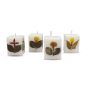 Cube Candle White || 2 inch || Saras Aajeevika