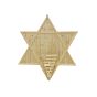 Bamboo Wall Hanging Star  || Saras Aajeevika
