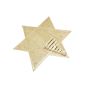 Bamboo Wall Hanging Star  || Saras Aajeevika