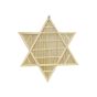 Bamboo Wall Hanging Star  || Saras Aajeevika