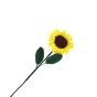 Handwoven Sunflower || Set of 2 || Saras Aajeevika