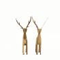 Wooden Deer 9 inch || Set of 2 || Natural Colour || Saras Aajeevika