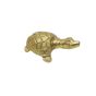 Brass Turtle Small || Saras Aajeevika