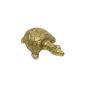 Brass Turtle Small || Saras Aajeevika