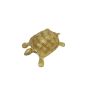 Brass Turtle 4 Inch || Saras Aajeevika