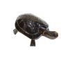 Tortoise Bamboo Figure || Dark brown || Saras Aajeevika 