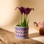 Khurja Pottery Indoor Pot Pipe Shape Red and Blue Colour Small Size 4 Inches
