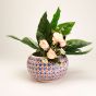 Khurja Pottery Outdoor Pot – Apple Shape, Red & Blue, Large Size (6 Inches)
