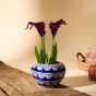 Khurja Pottery Indoor Pot Apple Shape Navy Blue Colour Medium Size 4 Inches