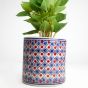 Khurja Pottery Outdoor Pot Pipe Shape || Red and Blue Colour || Large Size 6 Inches || Saras Aajeevika