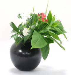  Black Pottery Flower Vase Face Shape