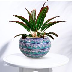 Khurja Pottery Outdoor Pot – Apple Shape, Light Green, Big Size (6 Inches)