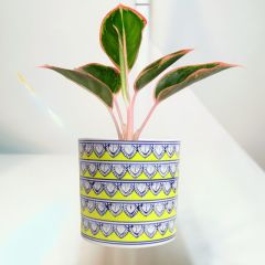 Khurja Pottery Outdoor Pot – Pipe Shape, Yellow, Big Size (8 Inches)