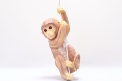  Monkey On Rope