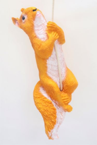  Squairle On Rope