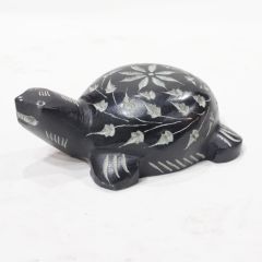 Tortoise Black || Black || Saras Aajeevika