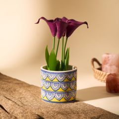 Khurja Pottery Indoor Pot Pipe Shape Yellow Colour Small Size 4 Inches || Saras Aajeevika