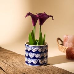 Khurja Pottery Indoor Pot Pipe Shape || Navy Blue Colour || Small Size 4 Inches || Saras Aajeevika