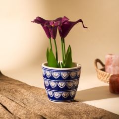 Khurja Pottery Indoor Pot Glass Shape || Navy Blue Colour || Medium Size 5 Inches || Saras Aajeevika