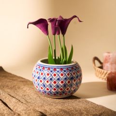 Khurja Pottery Indoor Pot Apple Shape || Red and Blue Colour || Big Size 5 Inchs || Saras Aajeevika