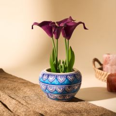 Khurja Pottery Indoor Pot Apple Shape Sky Blue Colour Medium 4 Inch || Saras Aajeevika