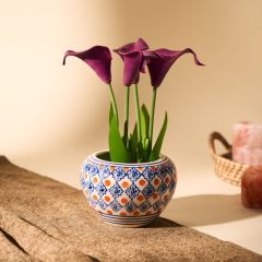 Khurja Pottery Indoor Pot Apple Red And Blue Colour Medium Size 4 Inches || Saras Aajeevika
