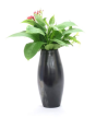  Black Pottery Flower Vase Dholak Shape