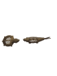 Dhokra Art Brass Fish & Tortoise 4" (Set of 2 ) || Saras Aajeevika